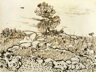 Terreno rochoso em Montmajour, 1888-89